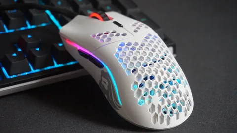 What Makes a Mouse Truly ‘Lightweight’? Let’s Break It Down