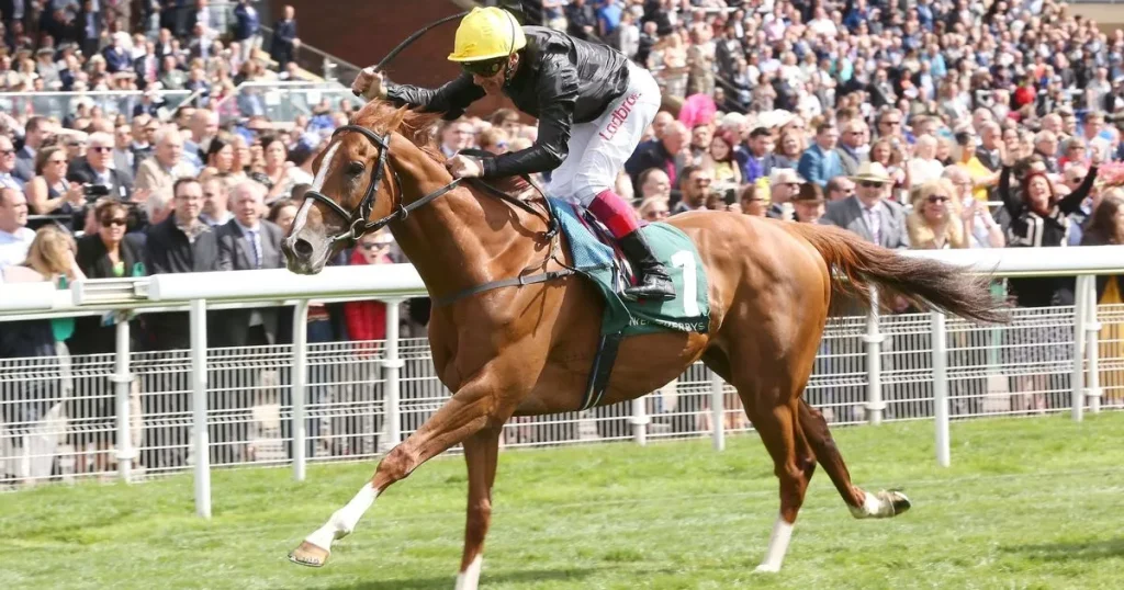 Winning Big from Home: Mastering the Art of Online Horse Racing Bets