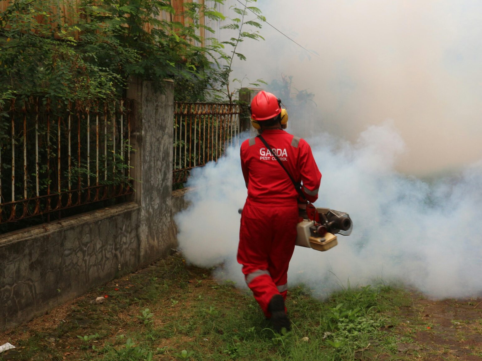 Why Termite Control Services Are Essential for Every Property